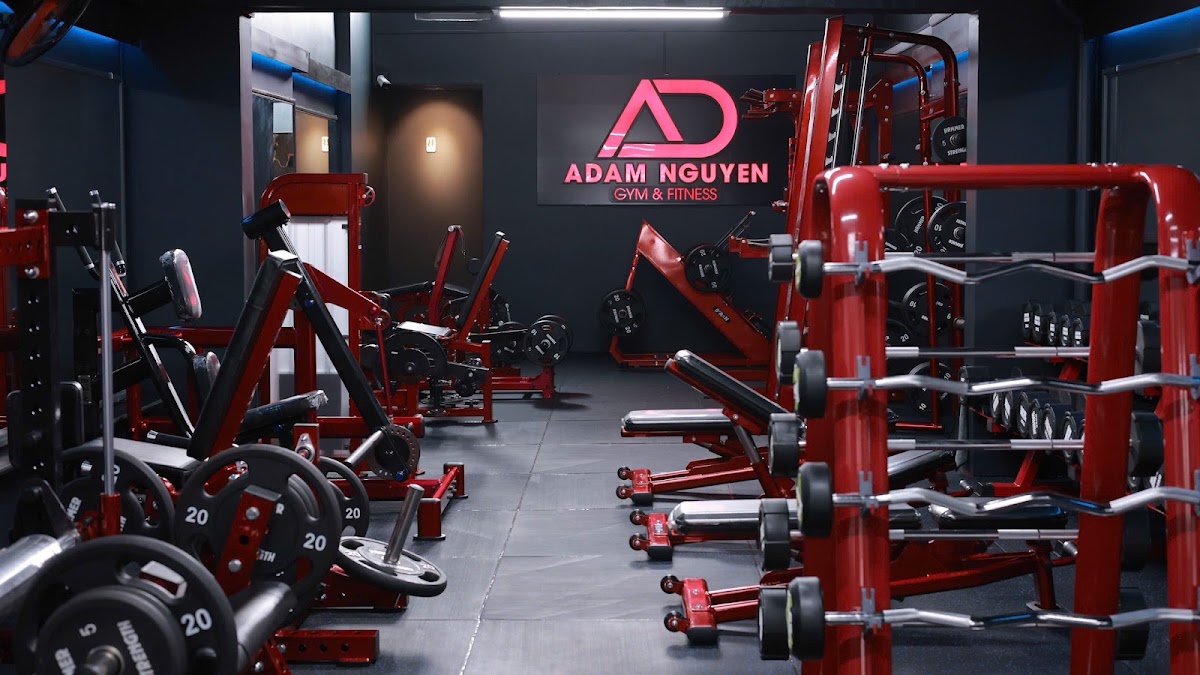 Adam Nguyen Gym & Fitness