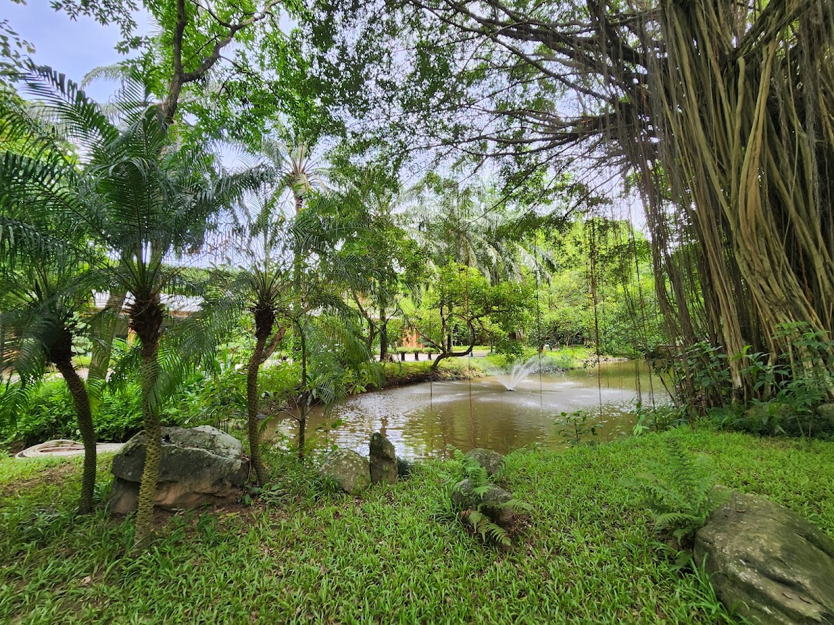 Rừng Cọ Ecopark