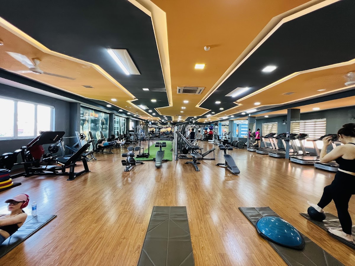 123 GYM Fitness & Yoga - 56 Tô Hiệu