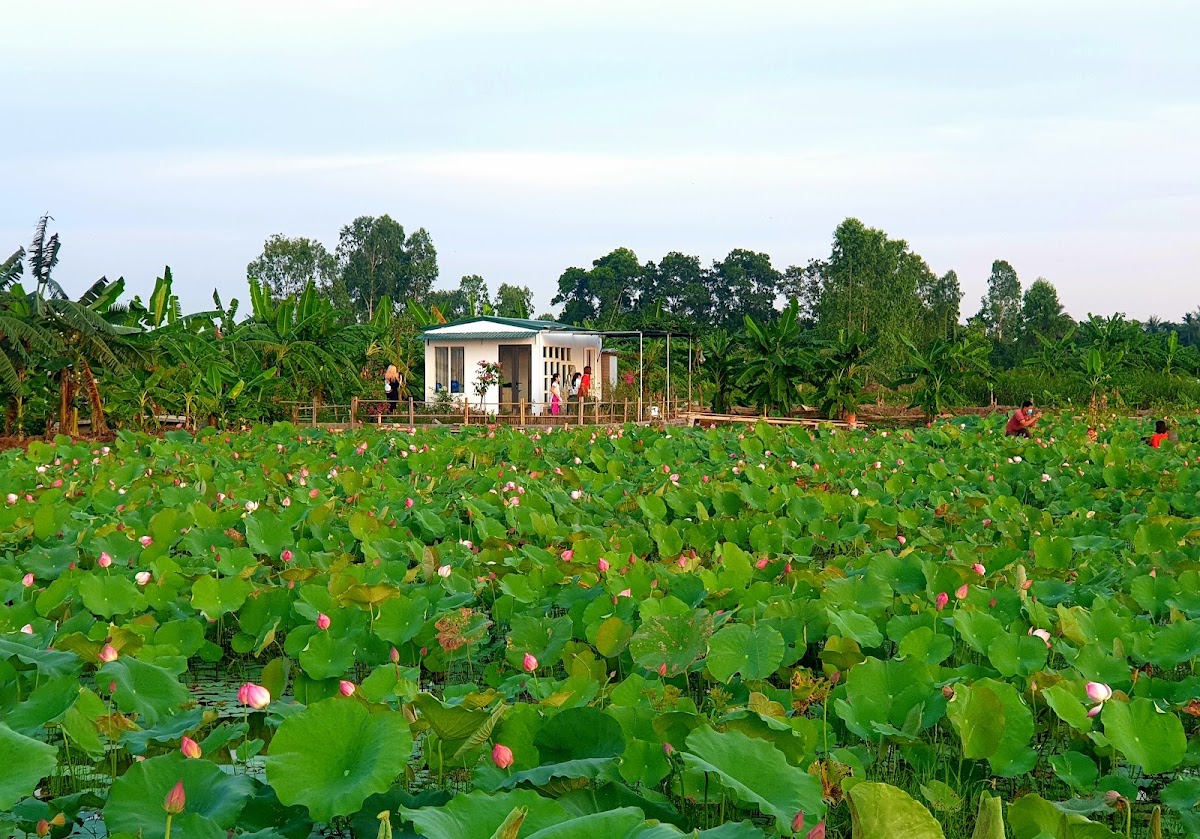 Nhà Nghỉ Đầm Sen