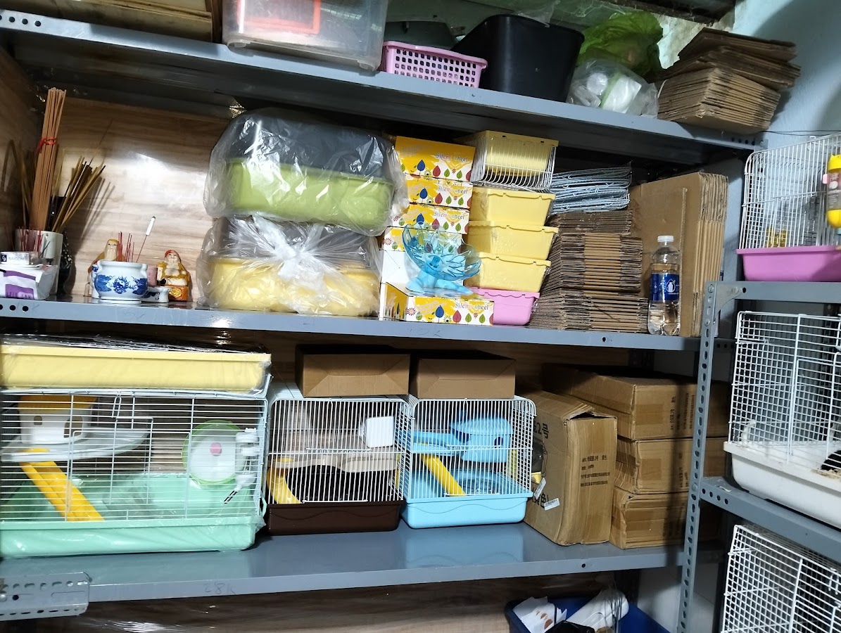 Thảo Shop Chuột Hamster ( Bình Tân)