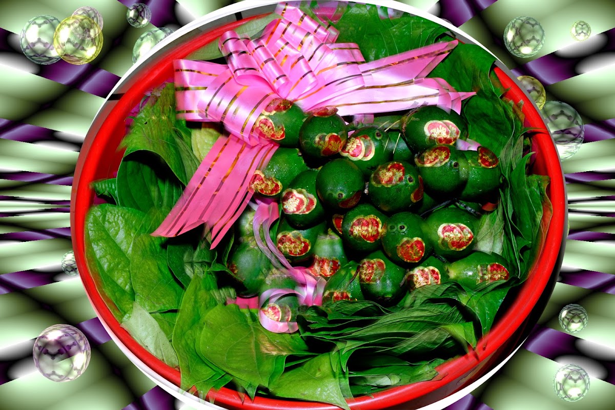 Chụp hình Ngọc Tuyến