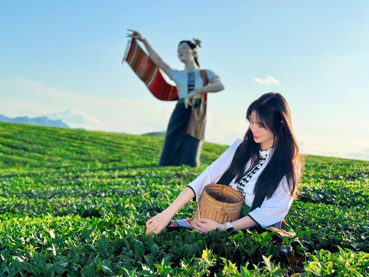 Mocha Hill Mộc Châu