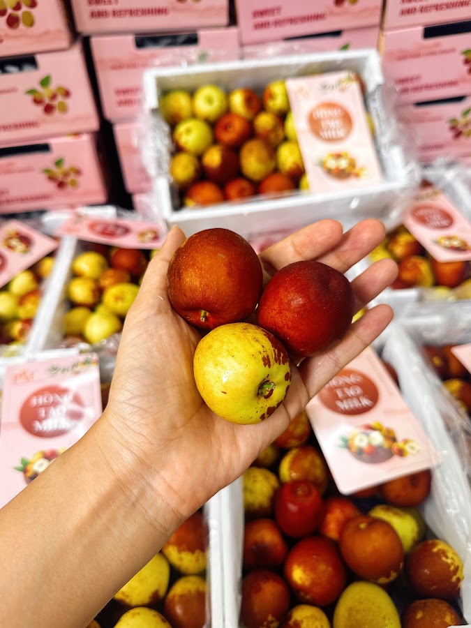 NT Fruits
