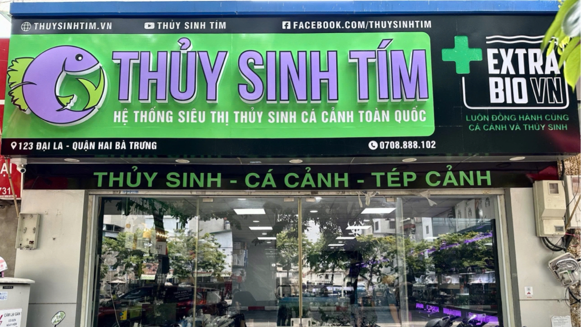 Thủy Sinh Tím - Đại La