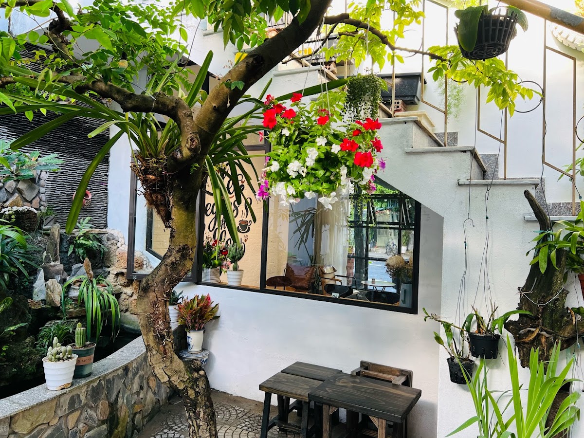Nhài cafe and more