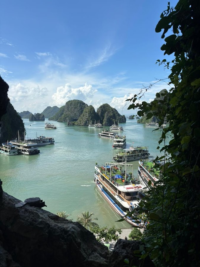 Your Vietnam Travel