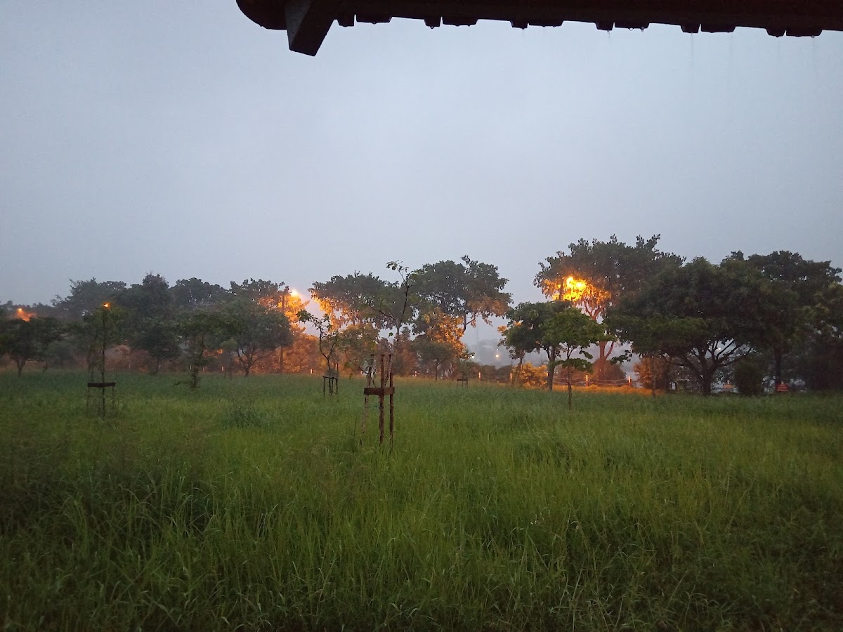 Sân bóng rổ