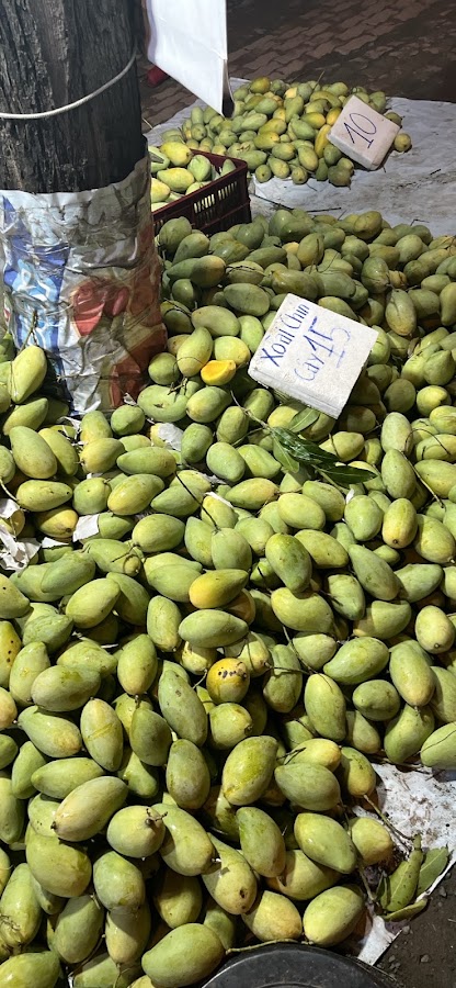 Tĩnh Thạch Viên