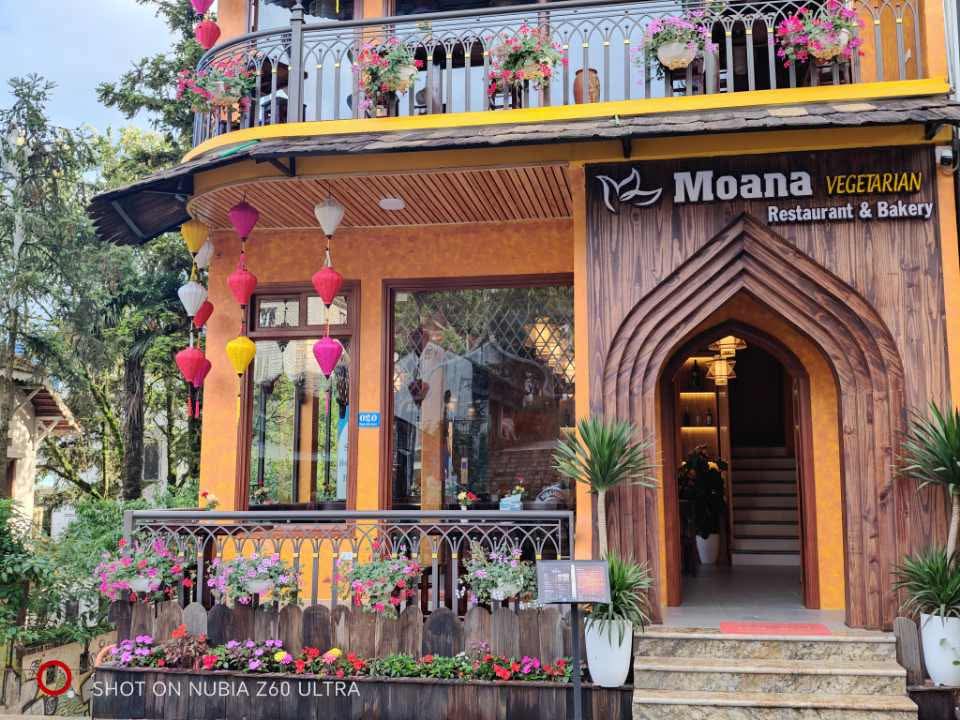 MOANA Vegetarian Restaurant