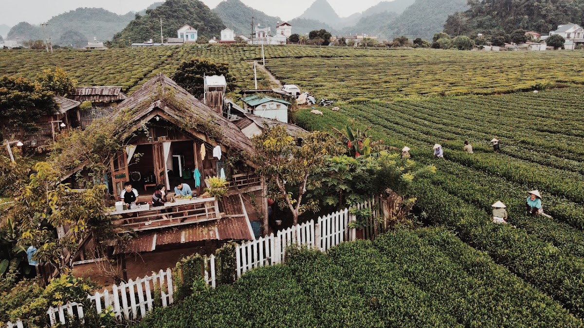 The Meadow Moc Chau