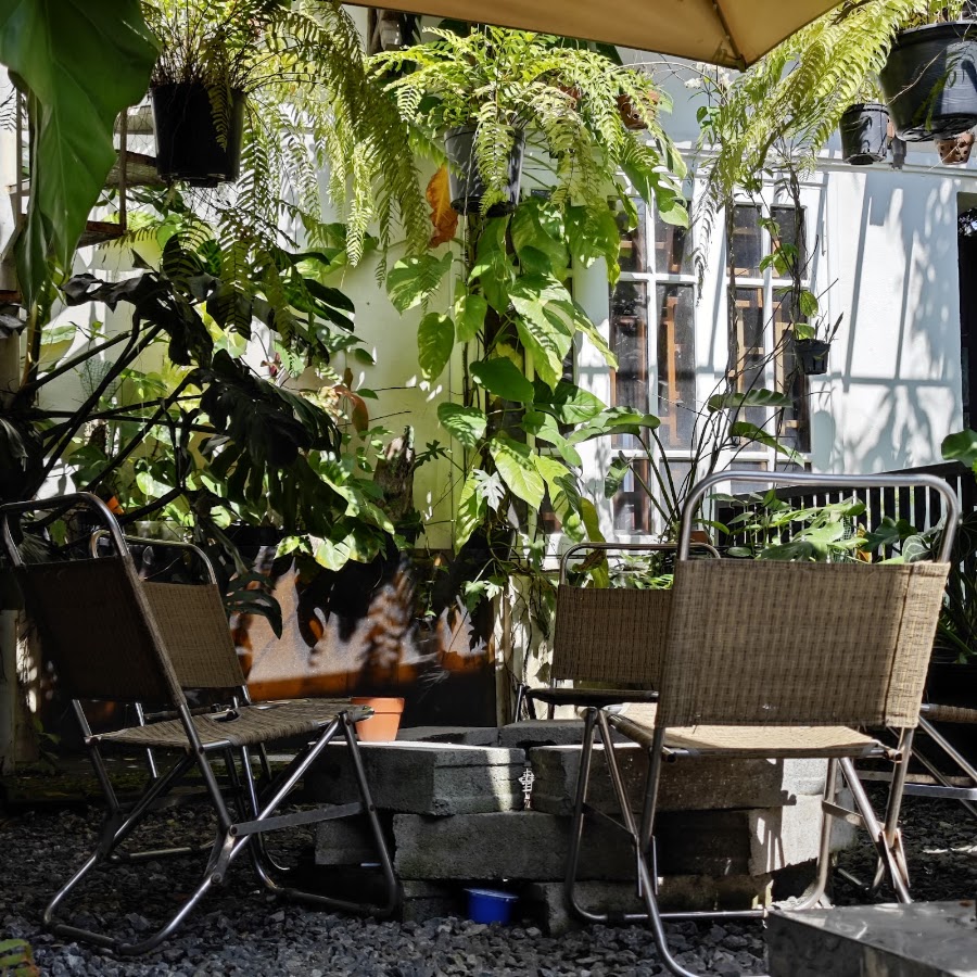 Gulu Home cafe & aroids