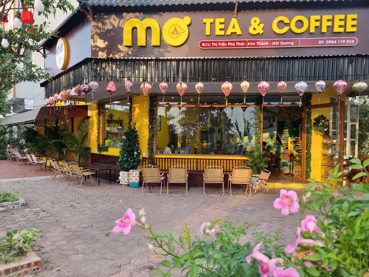 MƠ cà phê Phú Thái