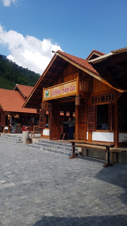 Coffee Sơn La