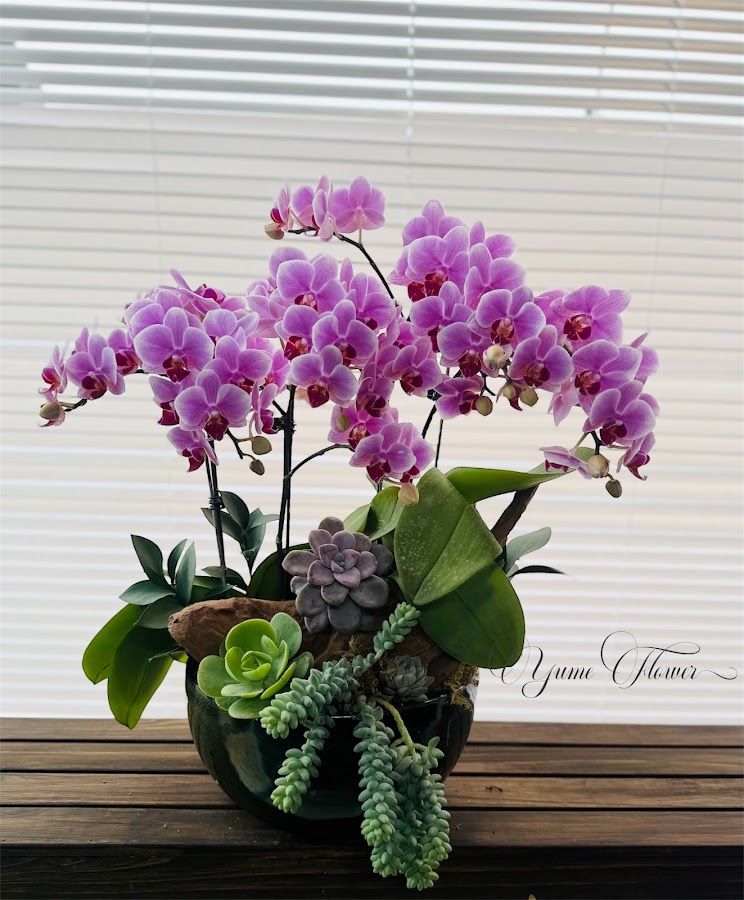 Tiệm hoa Đà Lạt - Yume Flower
