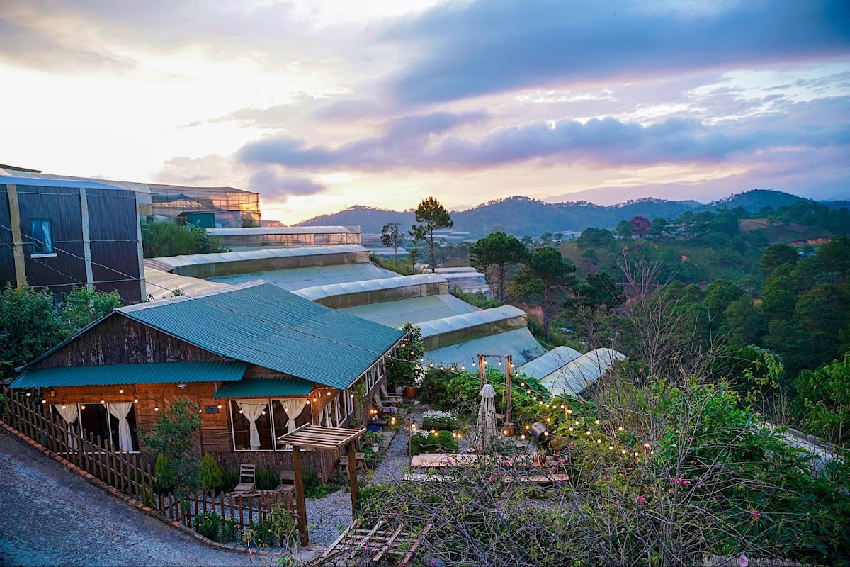 DaLat Homestay - Mùa Xuân trên Căn nhà gỗ