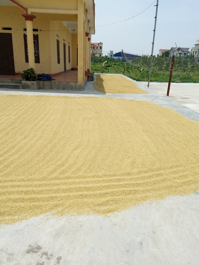 Nhà văn hóa thôn Lâm Đồng