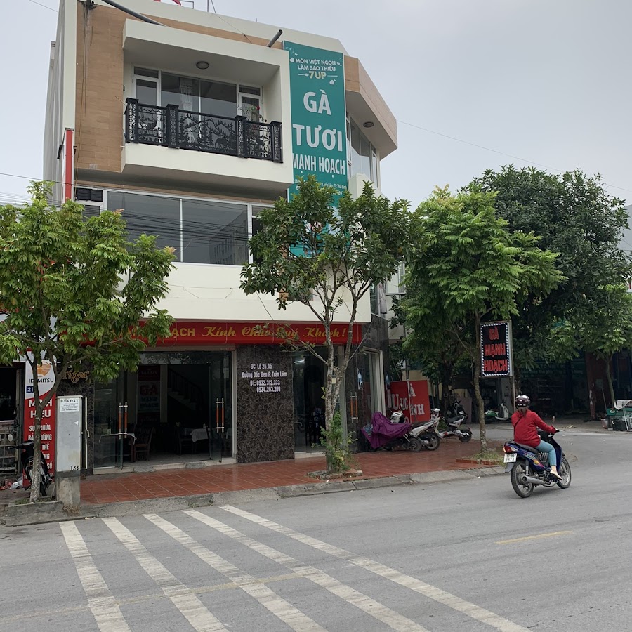 Gà Mạnh Hoạch Thái Bình