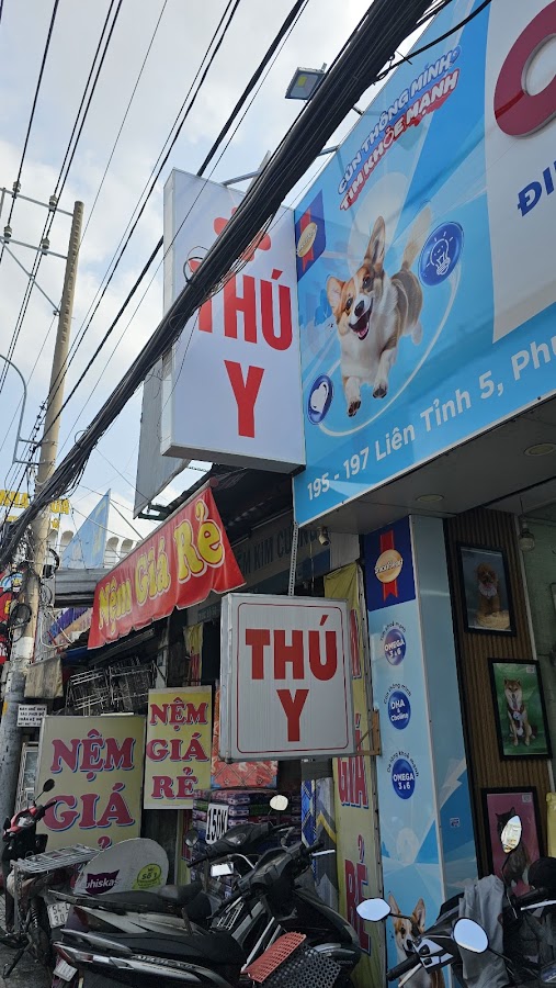 Spa Cún Miu 195 Liên Tỉnh 5