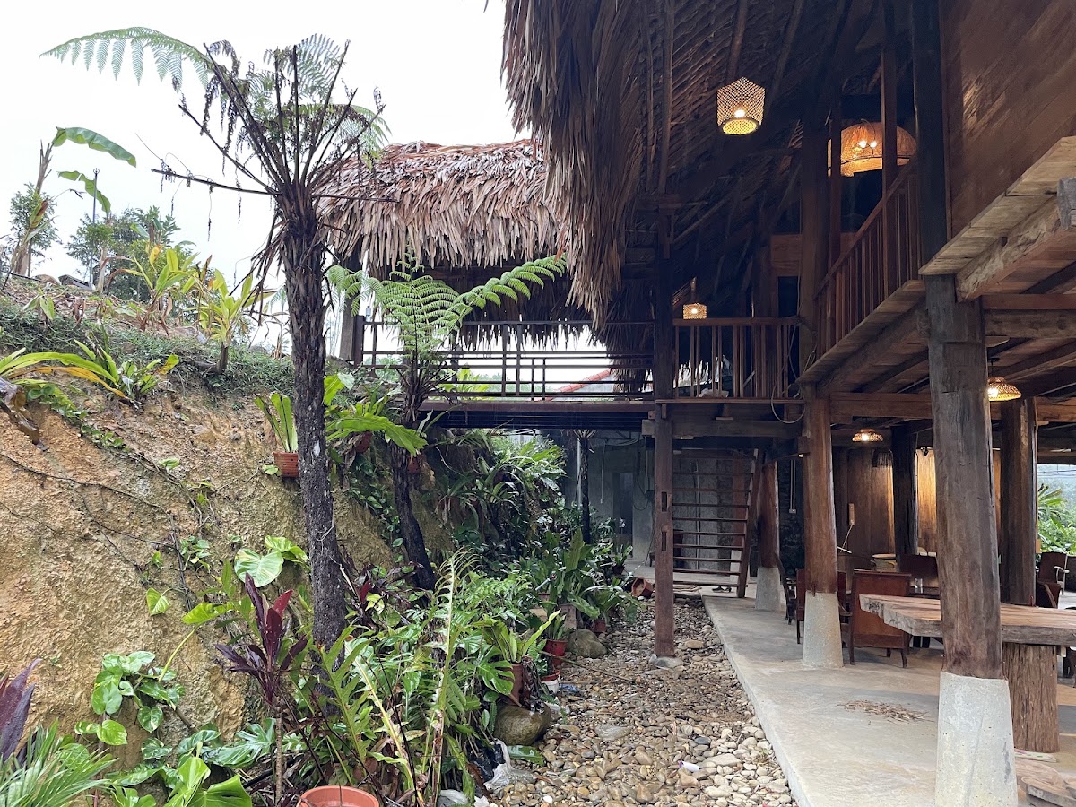 Đom Đóm Farm