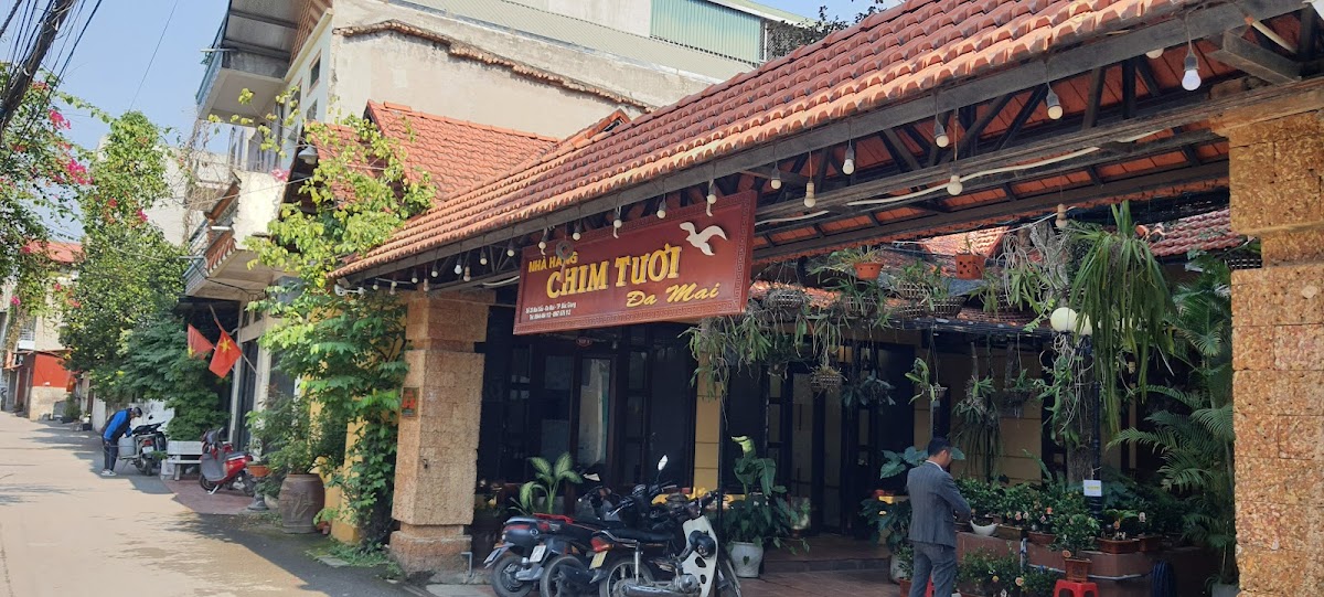 Nhà Hàng Đặc Sản Chim