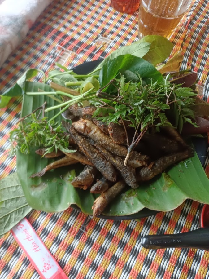 Thảo nguyên