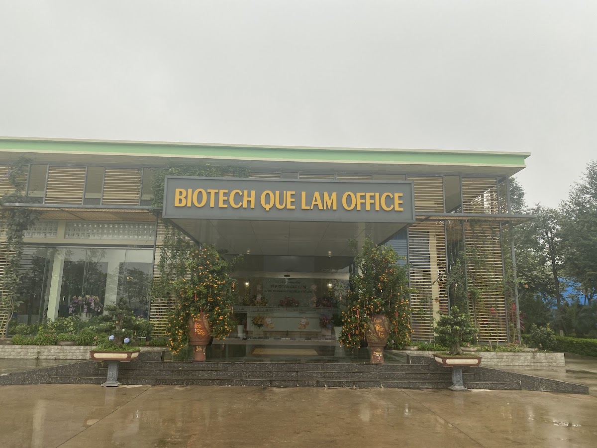 Tập Đoàn Quế Lâm