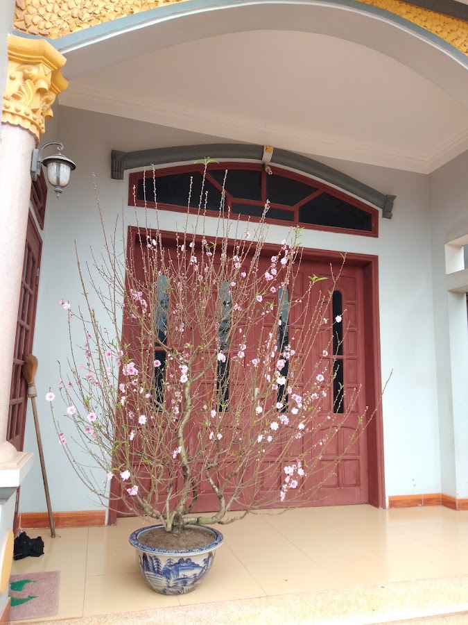 Nhà Hàng Trình Hương