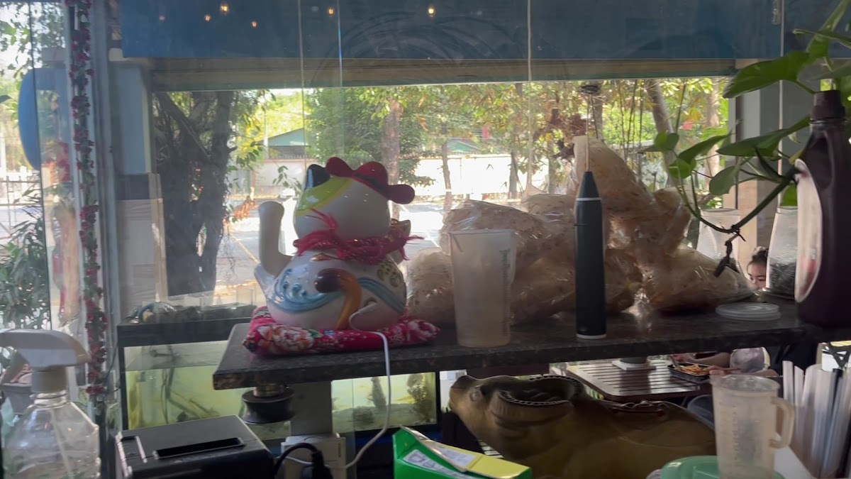 MEOW - Coffee & Milktea