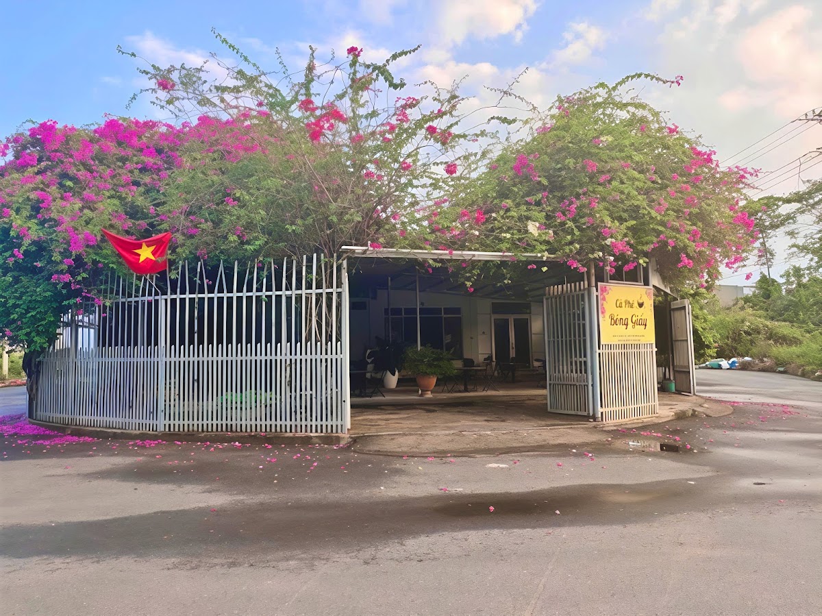 Cà Phê Bông Giấy