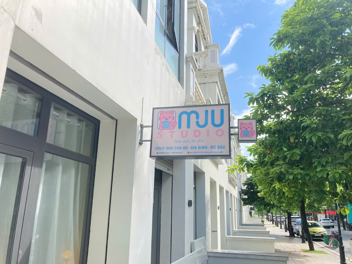 Mju studio