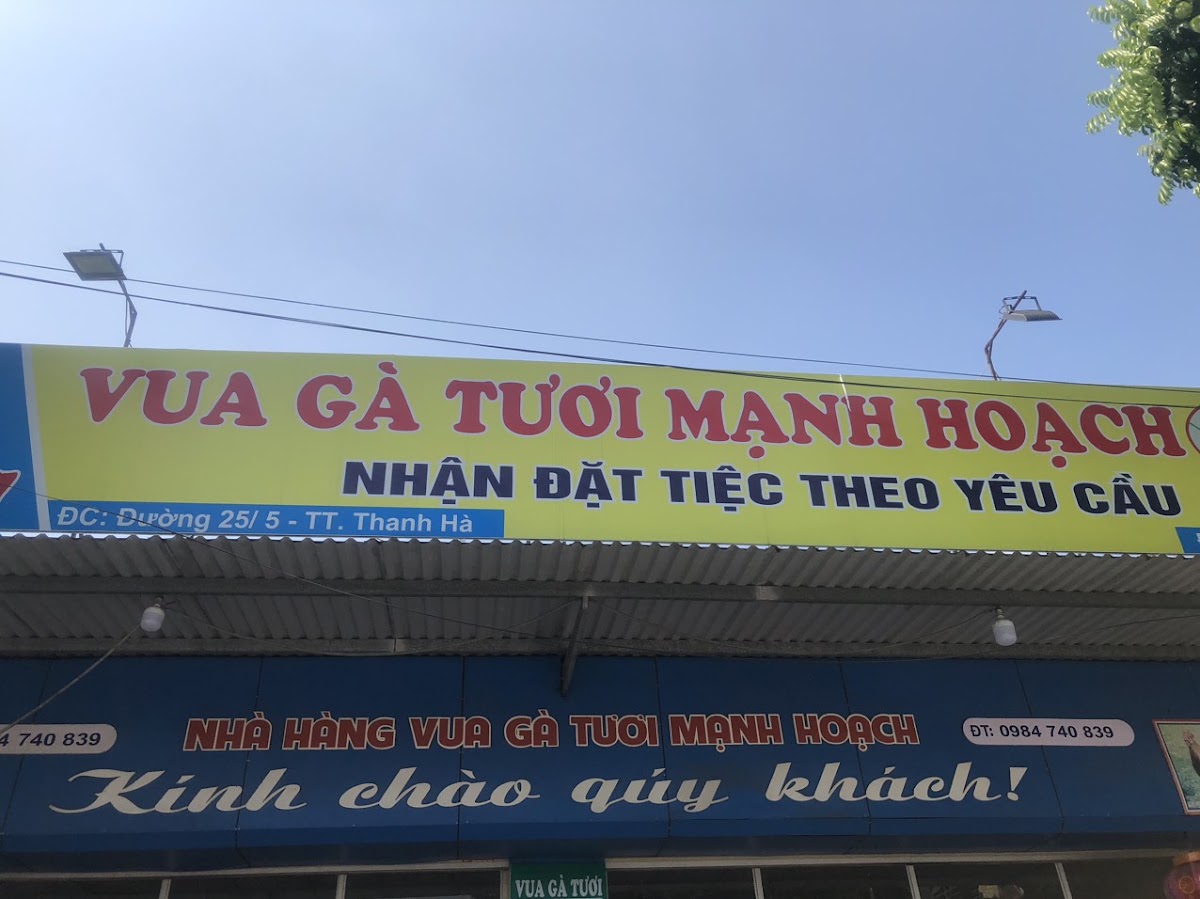 Ga tuoi manh hoach