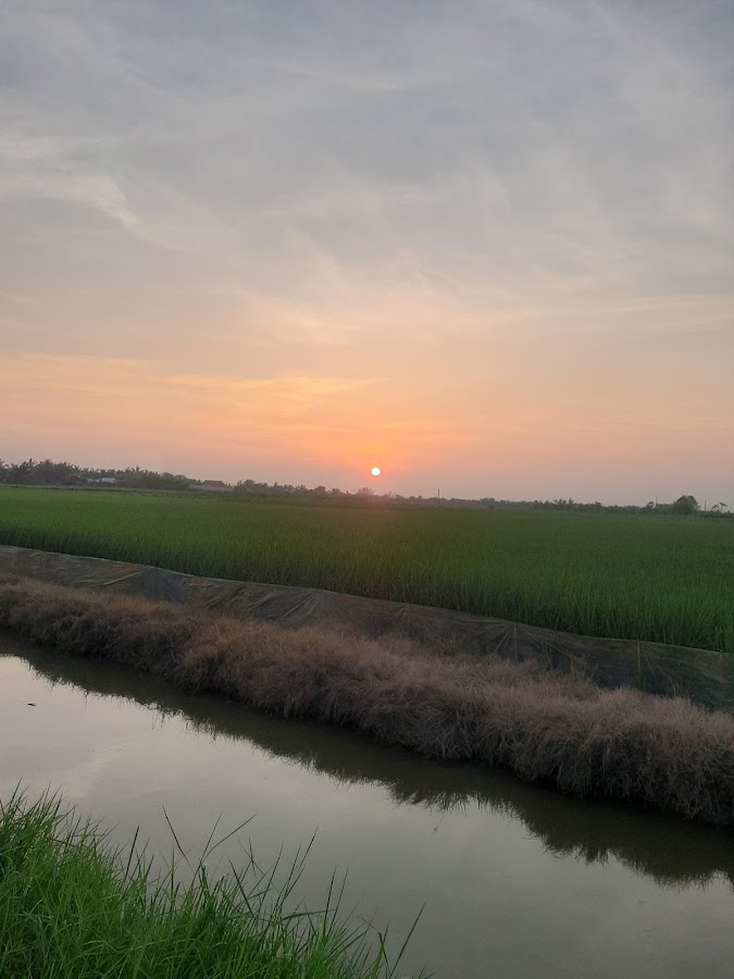 VAC Trần Quang