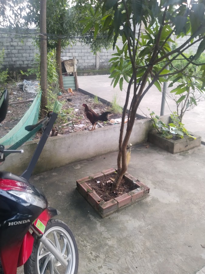 Công Ty TNHH Phân Bón Nhật Bản