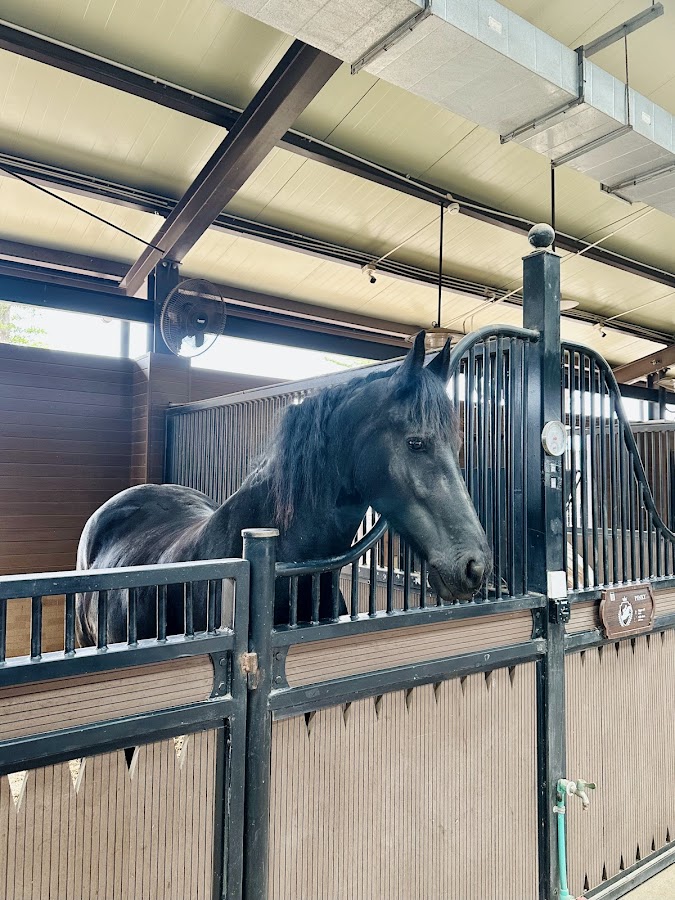Vinpearl Horse Academy Vũ Yên