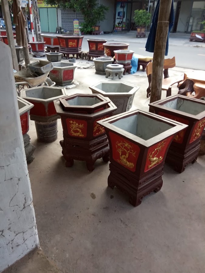 Ang Chậu Cây Cảnh Doanh Lan