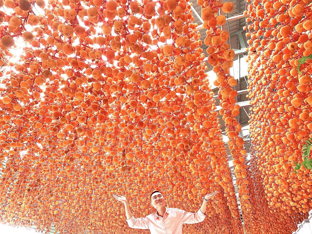 Vườn hồng Lễ Vân