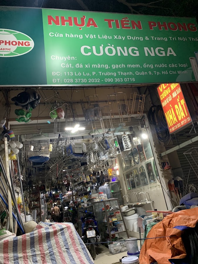 VlXD cường nga