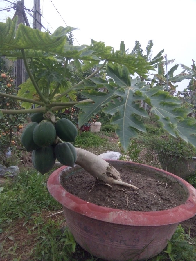 Sân Văn Hóa Thể Thao Thôn Hà Hải Hà Kỳ
